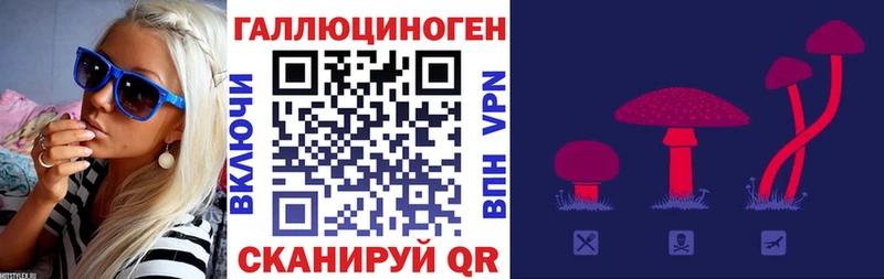 Псилоцибиновые грибы ЛСД  дарнет шоп  блэк спрут   Юрьевец 