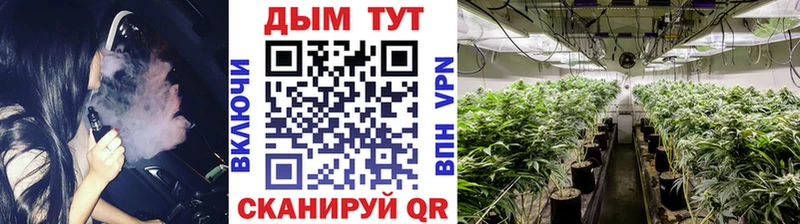 закладки  Юрьевец  МАРИХУАНА Bruce Banner 